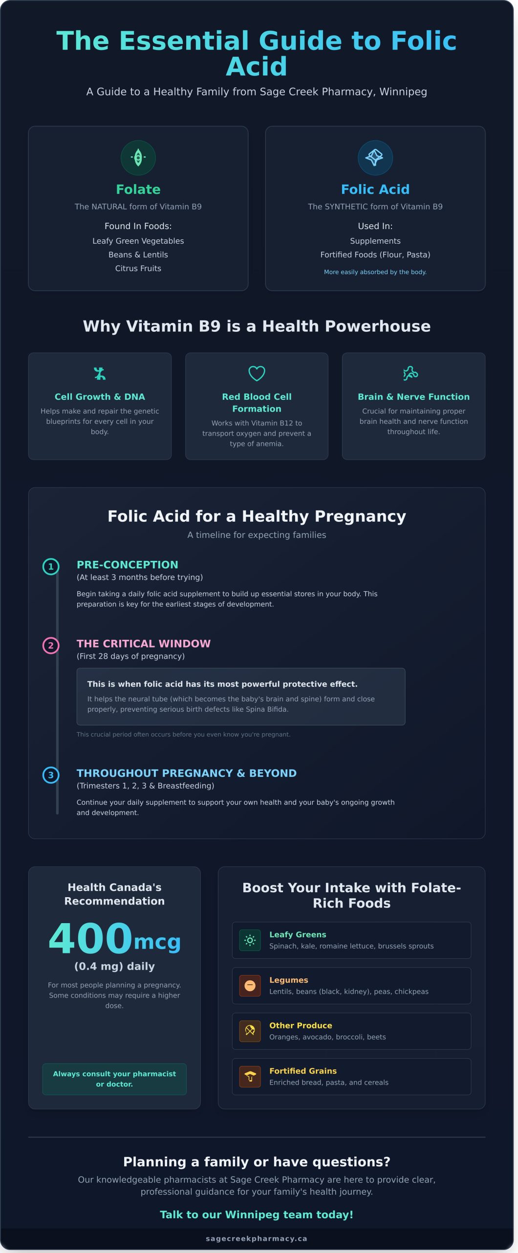 Folic Acid in Winnipeg: A Complete Guide for Your Family’s Health - Infographic