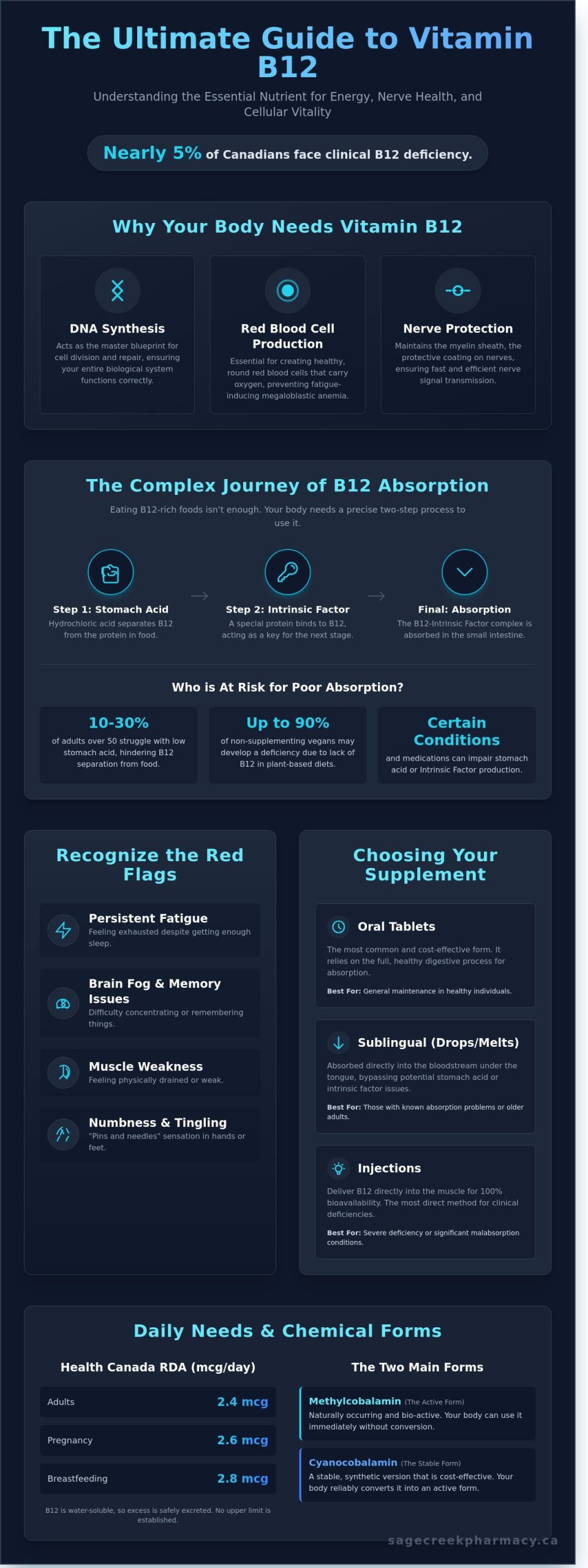 Vitamin B12: The Essential Guide for Energy and Wellness in Winnipeg - Infographic